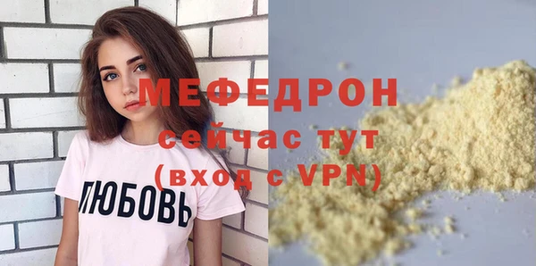 индика Вяземский