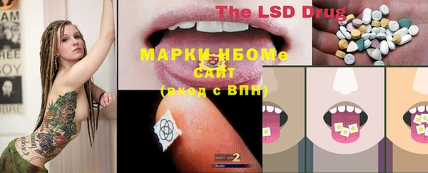прущие грибы Волосово
