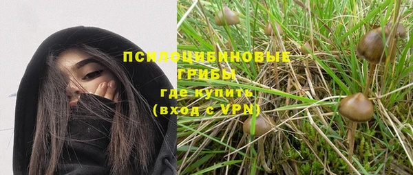твердый Волоколамск