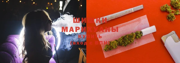стафф Вязьма