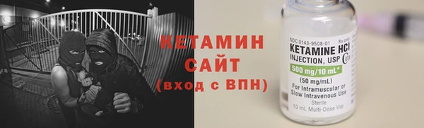 индика Вяземский
