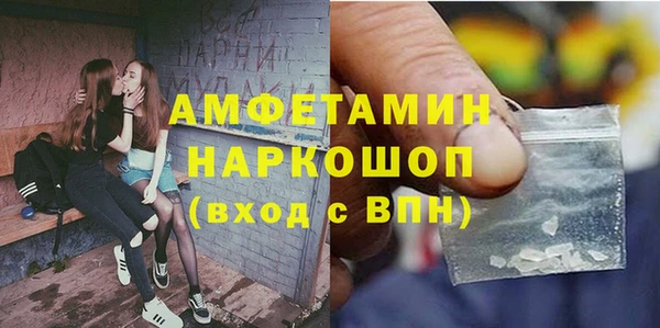 индика Вяземский