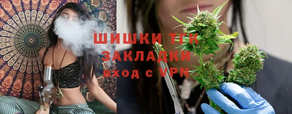 твердый Волоколамск