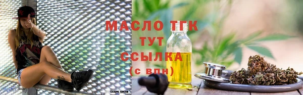индика Вяземский