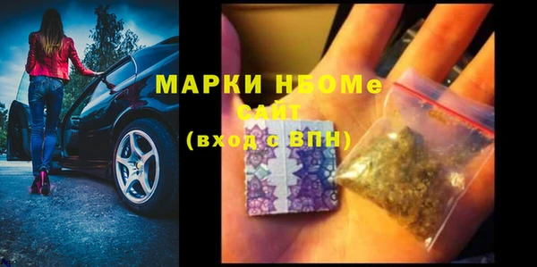 индика Вяземский